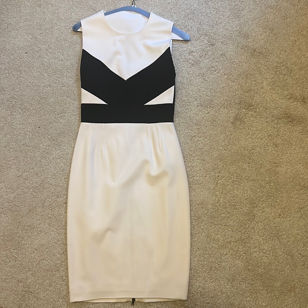 Narciso Rodriguez Dress